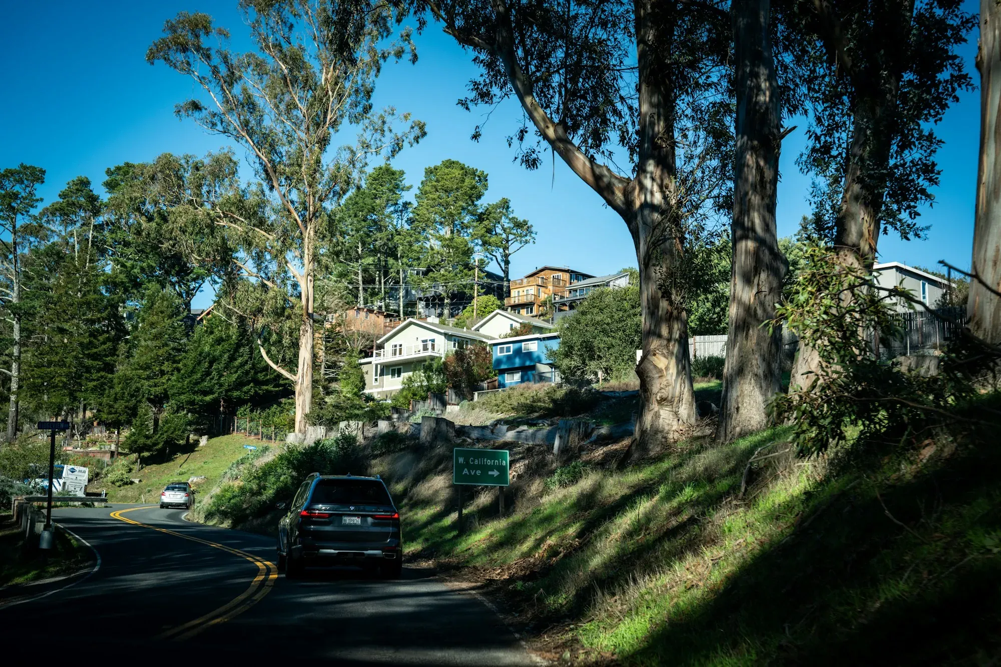 Tree-lined hillside road through a Peninsula neighborhood