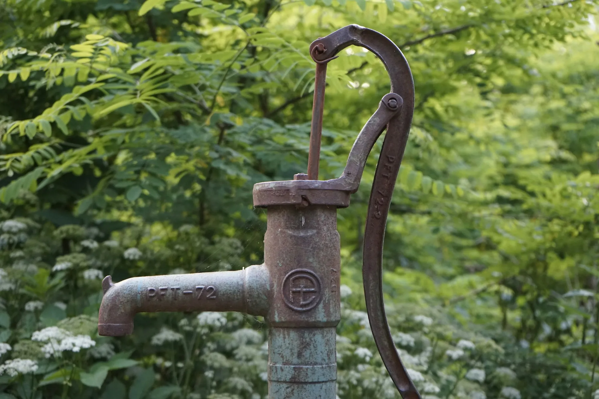 Old hand well pump surrounded by greenery